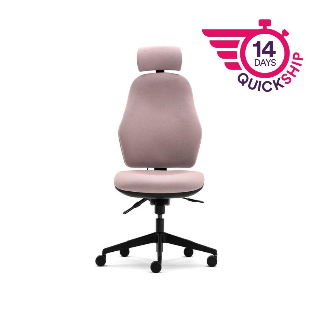 Orthopaedica 100 Series Independent Mechanism Task Chair With Headrest