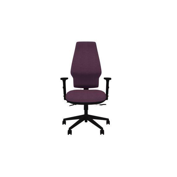OC304FDA Orthopaedica,Fold down arms,Sychronised Mechanism