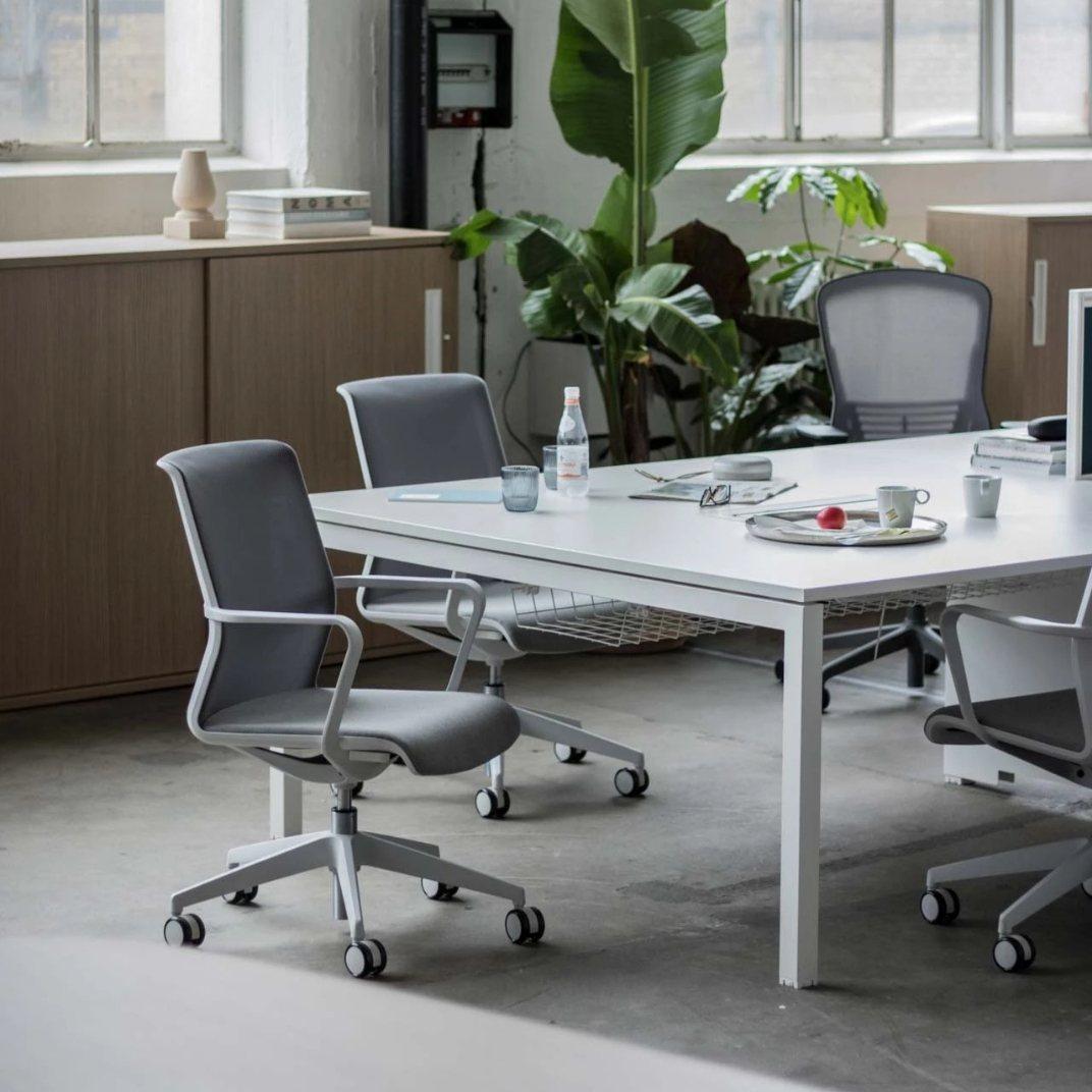 4 Chemistry Back to Back - Various Sizes Available