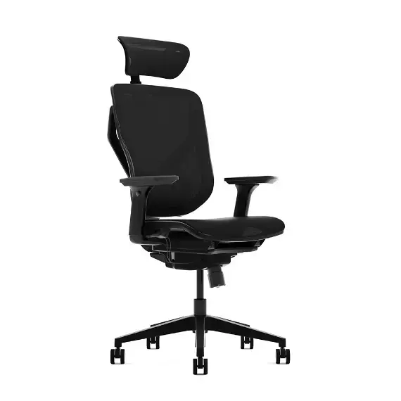E-AAA  Form Seating E-Form Task Chair