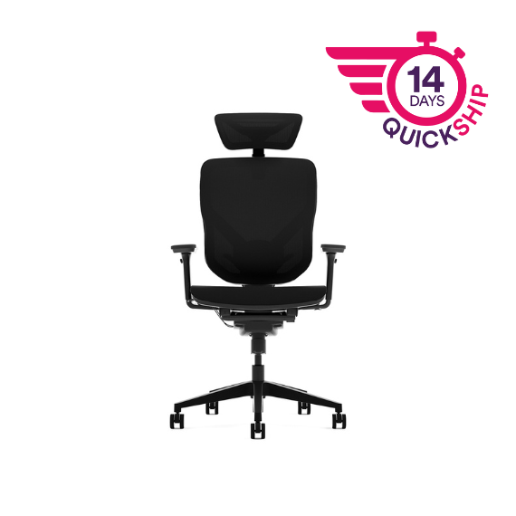 E-AAA - Form Seating E-Form Task Chair