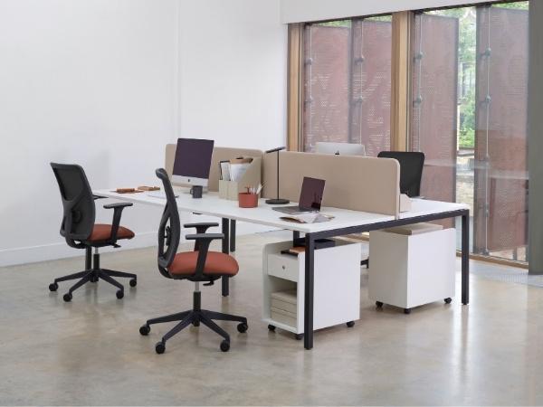 Pluto Plus Mesh Task Chair, Synchronised Mechanism