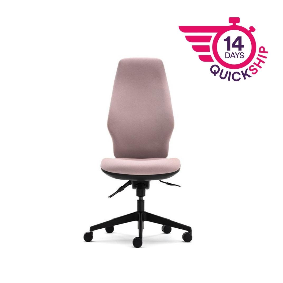 Orthopaedica 300 Series Independent Mechanism Task Chair