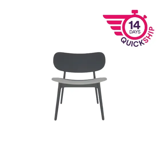 PLC008 PLC Lounge Chair with Upholstered Seat Pad