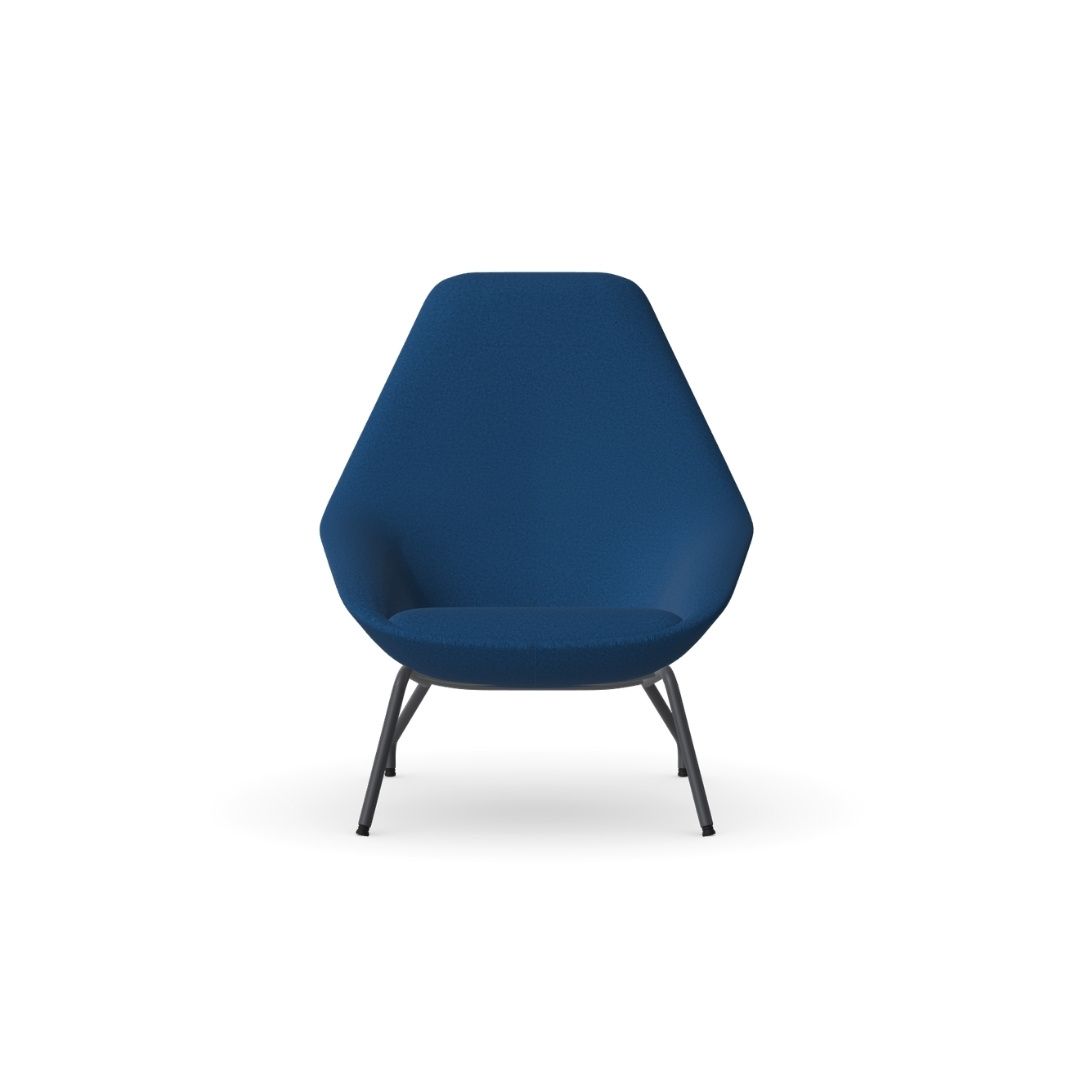 FMG1401 Famiglia Lounge Chair With Wire Frame