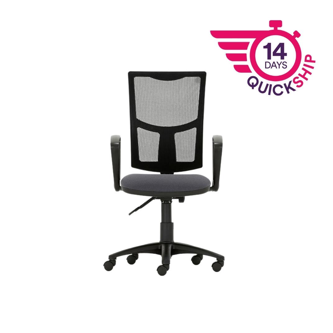 M100A Mercury Mesh, Fixed arms, Standard Mechanism