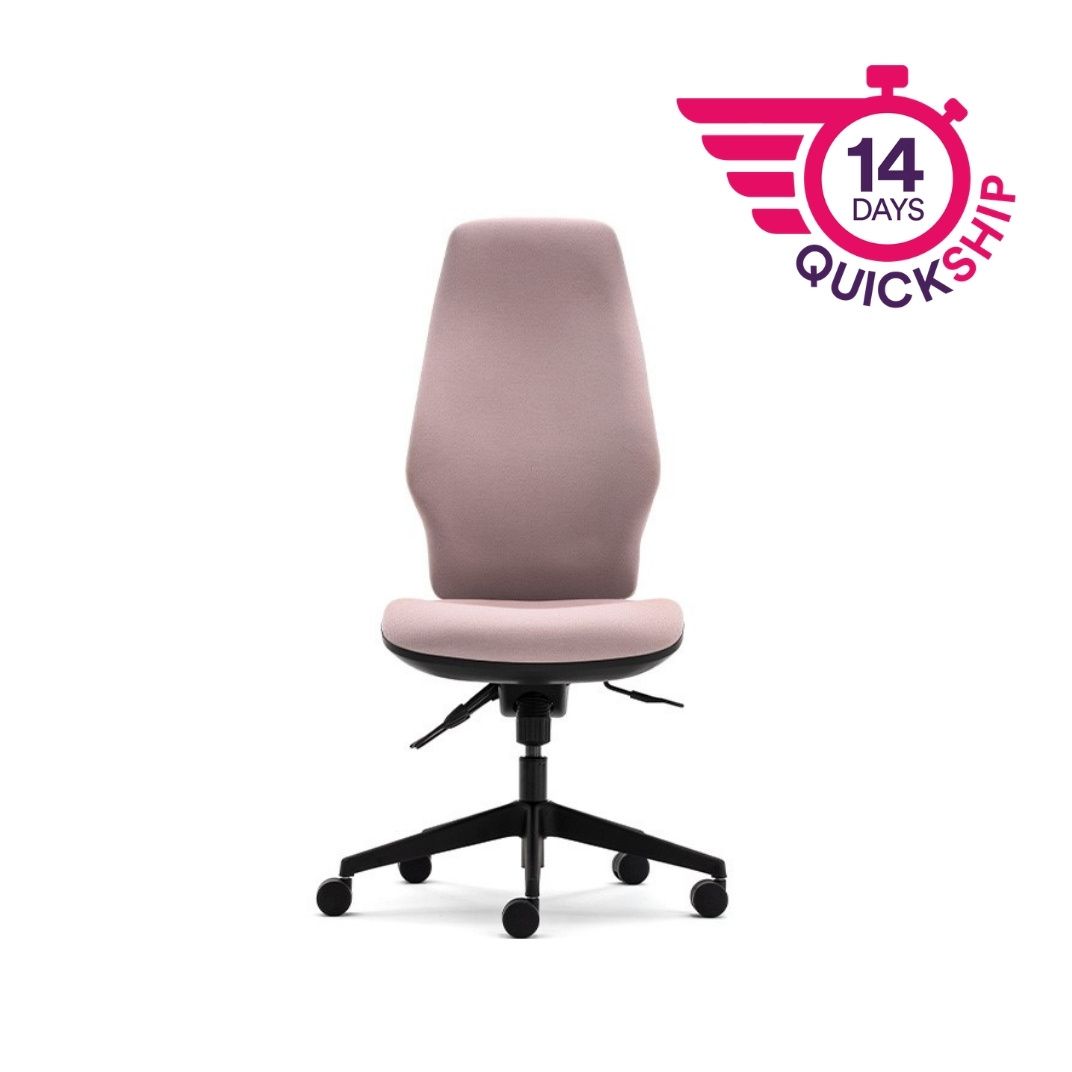 Orthopaedica 300 Series Independent Mechanism Task Chair